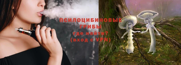 spice Богородск