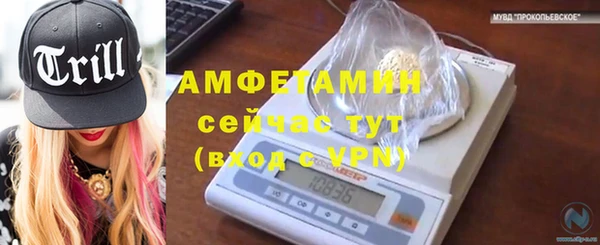 spice Богородск