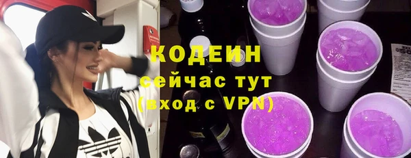 шишки Богородицк