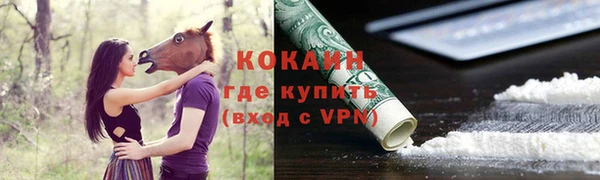 spice Богородск