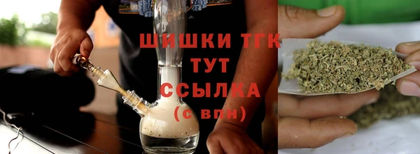 шишки Богородицк