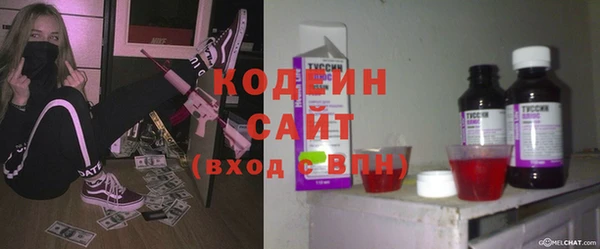 шишки Богородицк
