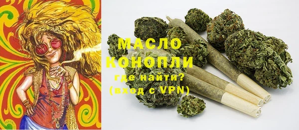 spice Богородск