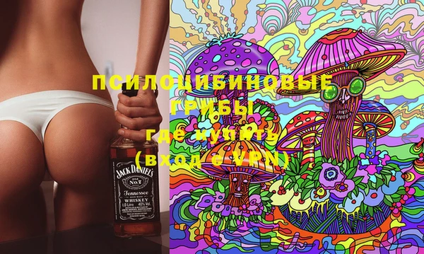 шишки Богородицк