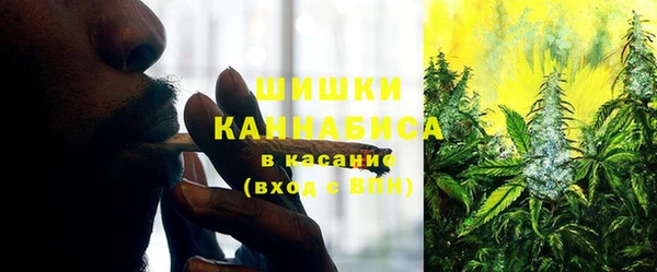 2c-b Богданович