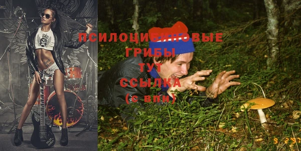 2c-b Богданович